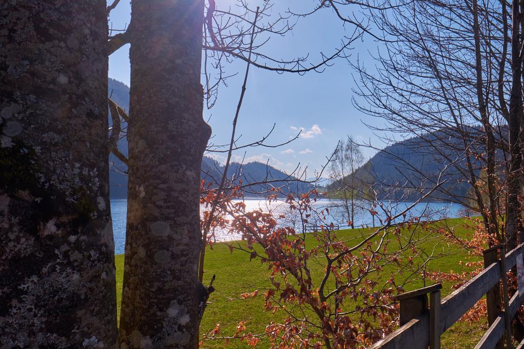 Pension Aloisia Scheffau am Wilden Kaiser Extérieur photo