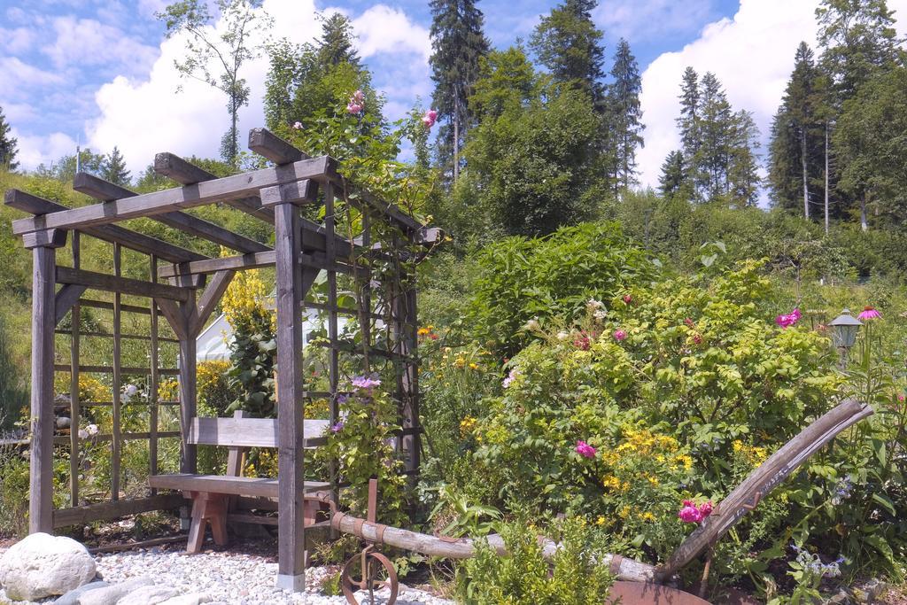 Pension Aloisia Scheffau am Wilden Kaiser Extérieur photo
