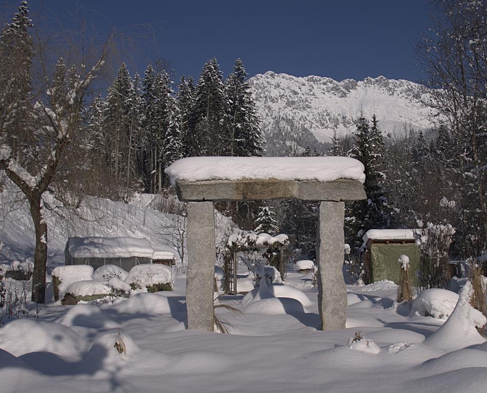 Pension Aloisia Scheffau am Wilden Kaiser Extérieur photo