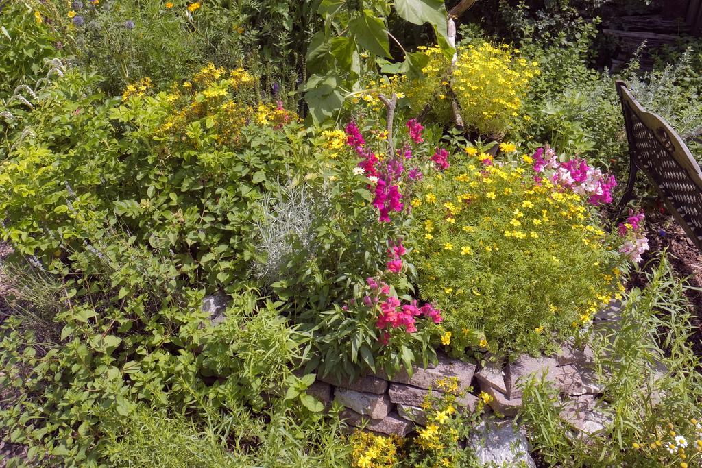 Pension Aloisia Scheffau am Wilden Kaiser Extérieur photo