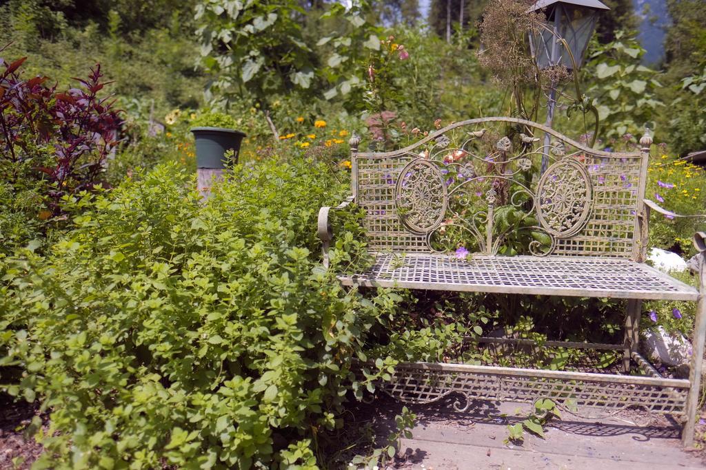 Pension Aloisia Scheffau am Wilden Kaiser Extérieur photo
